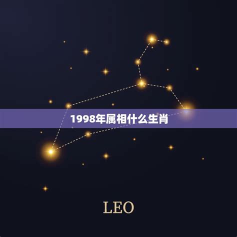 1998年属|1998年属什么的生肖